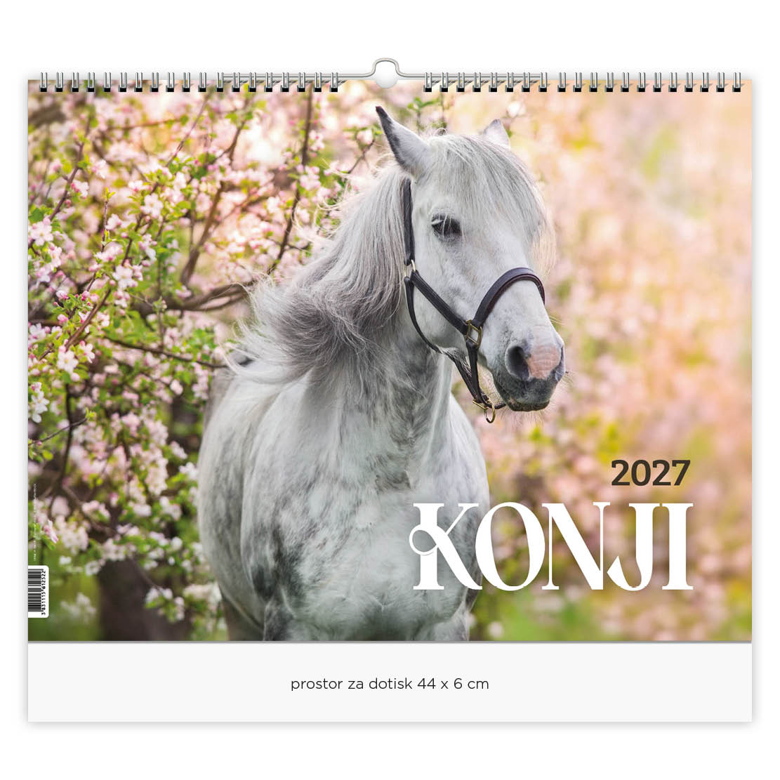 konji_2